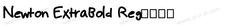 Newton ExtraBold Reg字体转换